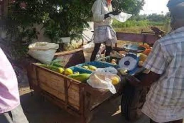 யாழில் நடமாடும் மரக்கறி வியாபாரிகளிடம் விலை தொடர்பான கள ஆய்வு