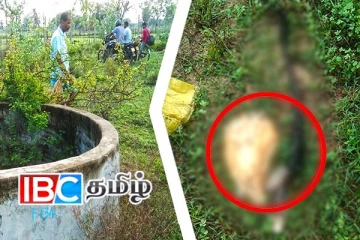 கிளிநொச்சியில் இறைச்சிக்காக கடத்தப்பட்ட மாடு: திருடர்கள் செய்த காரியம்