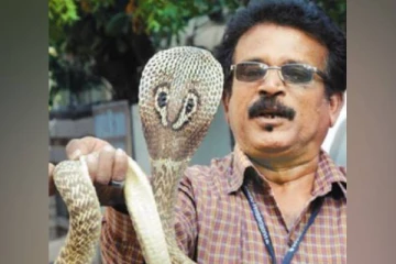 10 ஆயிரம் பாம்புகளை துணிச்சலுடன் பிடித்துள்ள தமிழருக்கு தற்போது நேர்ந்த கதி! பல்வேறு தரப்பினர் இரங்கல்