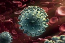 பிரித்தானியாவில் பரவிய புதிய கொரோனா வைரஸ் 50 நாடுகளுக்கு பரவி விட்டது! அதிர்ச்சி தகவலை வெளியிட்ட WHO