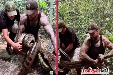 ஒரே பிடியில் அனகொண்டாவையே அசல்டாக தூக்கிய நபர்... இறுதியில் என்னாச்சி?