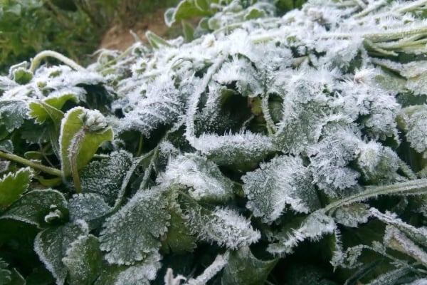 இலங்கையில் 25 ஆண்டுகளின் பின்னர் ஏற்பட்ட காலநிலை மாற்றம் | Climate Change In Sri Lanka After 25 Years