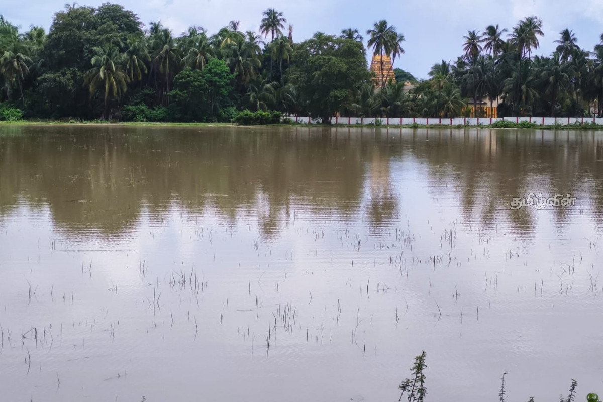 நாட்டில் கொட்டித்தீர்க்கும் கனமழை - 200 ஏக்கருக்கு மேல் நீரில் முழ்கிய விவசாய நிலங்கள் | Over 200 Acres Of Agricultural Land In Water நாட்டில் கொட்டித்தீர்க்கும் கனமழை - 200 ஏக்கருக்கு மேல் நீரில் முழ்கிய விவசாய நிலங்கள் | Over 200 Acres Of Agricultural Land In Water