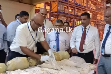 රුපියල් කෝටි 20කට අධික වටිනා රේගුවේ දී සොයාගත් දේ..