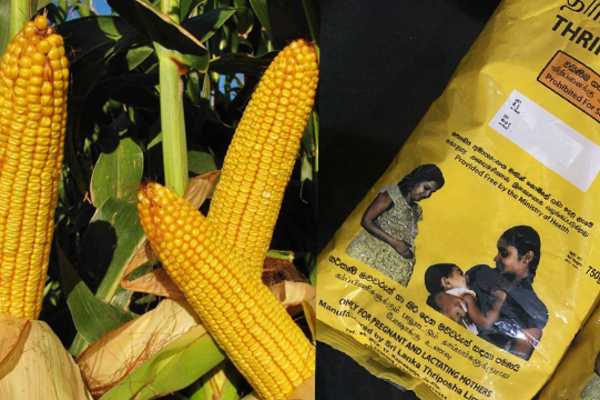 திரிபோஷா சத்துமாவை வழங்குவதில் ஏற்பட்டுள்ள சிக்கல்.. கவலை வெளியிட்டுள்ள அதிகாரிகள் | Problem In Providing Triposha Shortage