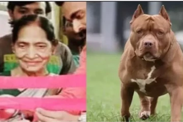 பல நாடுகளில் தடை செய்யப்பட்டது இந்தியாவில் உயிரைப்பறித்தது!