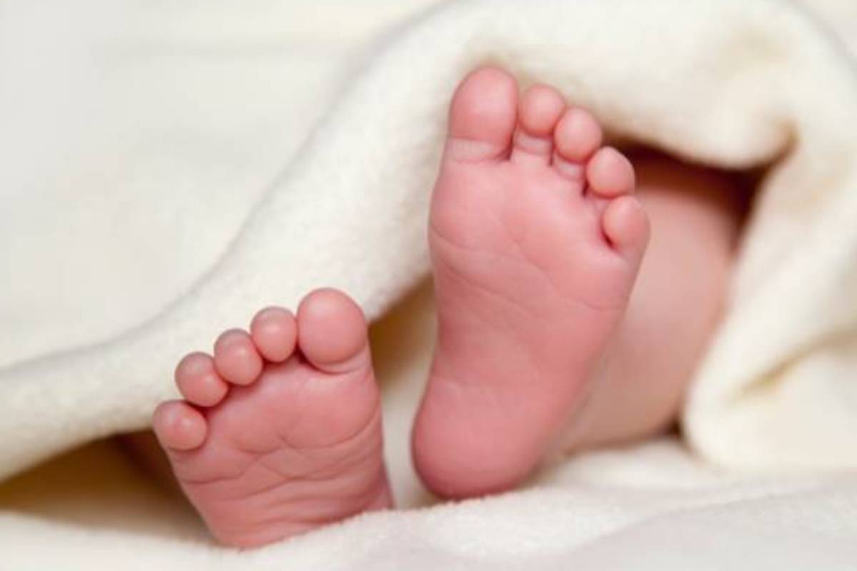 விடுதியில் 6 மாத ஆண் சிசுவின் சடலம் மீட்பு | Body Of 6 Month Old Male Infant Recovered At Lodge விடுதியில் 6 மாத ஆண் சிசுவின் சடலம் மீட்பு | Body Of 6 Month Old Male Infant Recovered At Lodge