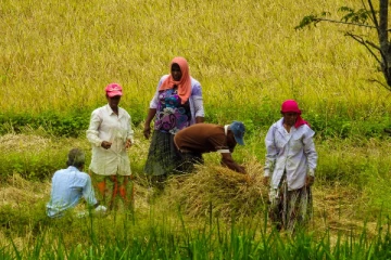 இலங்கையின் விவசாயத்துறைக்கு உதவத் தயாராகும் இந்தியா! இறக்கமதி செய்யப்படவுள்ள உரங்கள்