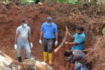 யானை ஒன்றை திட்டமிட்டு கொலை செய்த நபர்கள்!  1.25 மில்லியன் ரூபா அபராதம்