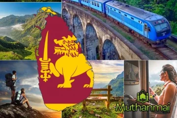 நாட்டிற்கு வரும் பயணிகள் தொடர்பில் சுற்றுலாத்துறை வெளியிட்ட கணிப்பு!