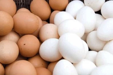 බිත්තර මිල යළිත් වැඩි වෙයි..අලුත් මිල මෙන්න..