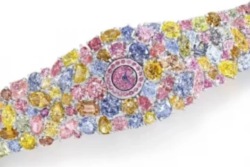 உலகிலேயே விலையுயர்ந்த வாட்ச் எது.., அதன் விலை எத்தனை கோடி தெரியுமா?