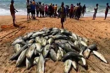 தமிழர் பகுதியொன்றில் அடித்த பெரும் அதிஸ்டம் ; கோடிகளில் கிடைத்த வருமானம்