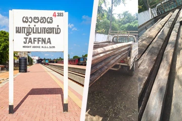 யாழில் சட்டவிரோதமாக பனை மர குற்றிகளை ஏற்றிச் சென்றவர் கைது