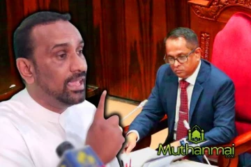 சர்வாதிகாரியாக செயற்படாதீர்கள் : சபாநாயகருக்கு விடுக்கப்பட்ட எச்சரிக்கை