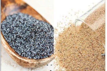 கசகசாவை குறைந்த அளவில் சாப்பிட்டு வந்தால் என்ன நடக்கும் தெரியுமா?