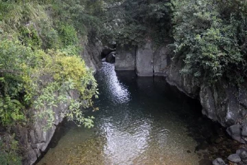 குளத்தில் மிதந்த நிலையில் பெண்ணொருவரின் சடலம் மீட்பு