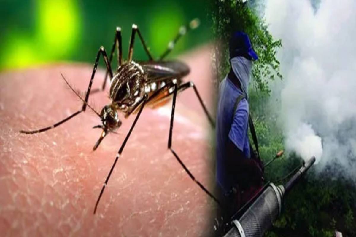மீண்டும் ஆரம்பமாகும் பாடசாலைகள்! அதிகாரிகளுக்கு முக்கிய அறிவுறுத்தல் | Remove Mosquito School Dengue Control Unit