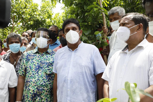 விவசாய நிலங்களுக்கு வந்து பாருங்கள்! அமைச்சர்களுக்கு சவால் விடுத்த சஜித் | Come To The Farmland Sajith Challenged