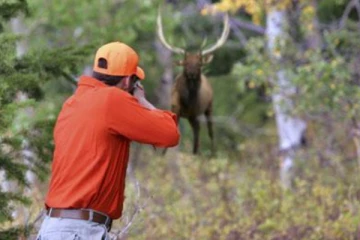 ගමක් බිය වැද්දූ අමුතු සත්වයා ගම්වාසීන් කොටු කර ගනී..!