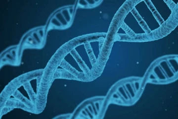 குடும்ப சண்டைக்கு DNA பரிசோதனையா? கண்டித்த சுவிஸ் நீதிமன்றம்