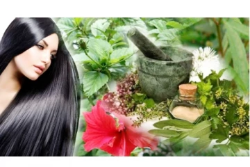 முடி கருகருவென நீளமாக வளர ஆசையா? இதோ பாட்டி வைத்தியம்