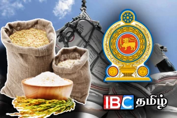 அரிசி இறக்குமதி தொடர்பில் அரசு எடுத்த தீர்மானம்