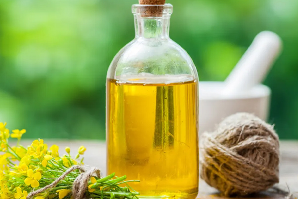 இந்த 5 எண்ணெய்களை சமையலுக்கு பாவிக்கவே கூடாதாம் | These 5 Oils Should Never Be Used For Cooking