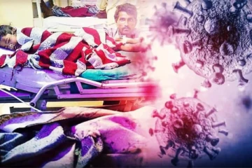 20 ஆண்டுகளுக்கு பின் இந்தியாவை உலுக்கப்போகும் சண்டிபுரா வைரஸ் - இது எவ்வளவு ஆபத்தானது?