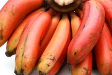 செவ்வாழைப் பழத்தில் இவ்வளவு நன்மைகளா?