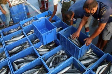 சந்தையில் விற்கும் மீன்கள் தொடர்பில் அமைச்சர் வெளியிட்ட அதிர்ச்சி தகவல்!