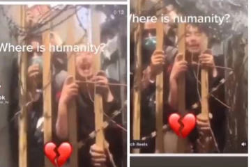 தலிபான்கள் தலையை துண்டித்துவிடுவார்கள்.. கதவை திறங்கள்! காபூல் விமான நிலையத்தில் ஆப்கான் இளம் பெண் செய்த செயல்: கலங்க வைக்கும் காட்சி