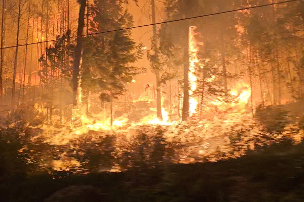 கனடாவில் 30,000 பேரை வெளியேற உத்தரவு | 30000 Evacuated In Canada