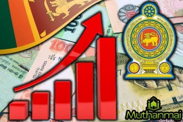 2025 இன் முதல் நான்கு மாத அரச வருமானம்: வெளியான தகவல்