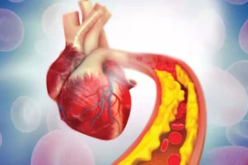 கொலஸ்ட்ரால் அளவை உடனடியாக கட்டுப்படுத்த வேண்டுமா? இந்த 5 உணவுகள் மட்டும் போதும்