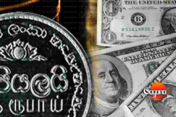 රුපියල මෙච්චර ගාණකින් අවප්‍රමාණය වෙලා