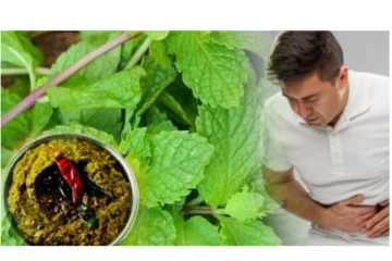 உடல் வெப்பத்தை தணிக்கும் புதினா துவையல் - சுவையாக செய்வது எப்படி?