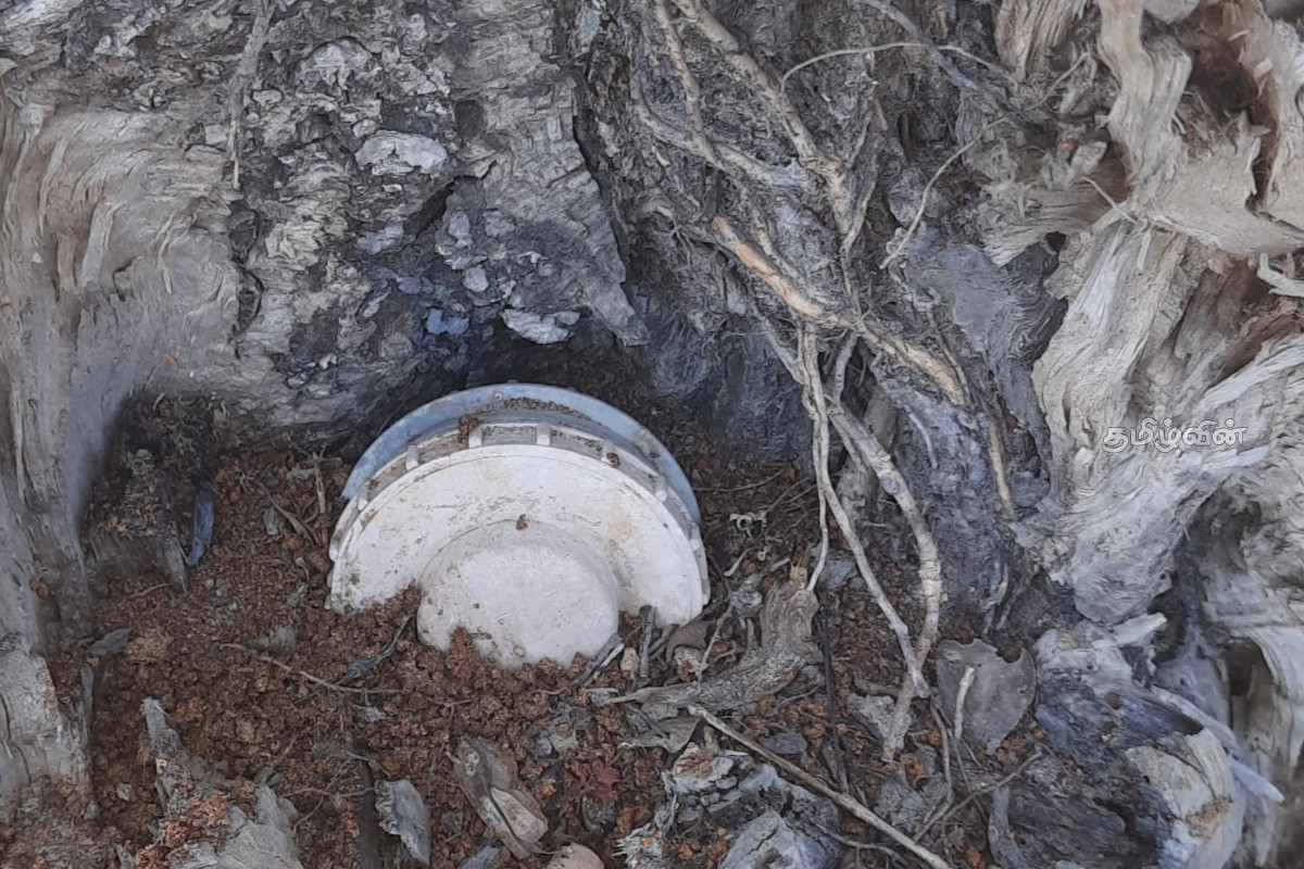 தமிழர் பகுதியில் மரத்திற்கு மேல் பதுக்கி வைக்கப்பட்ட குண்டு மீட்பு | Bomb Recovered In Kilinochchi தமிழர் பகுதியில் மரத்திற்கு மேல் பதுக்கி வைக்கப்பட்ட குண்டு மீட்பு | Bomb Recovered In Kilinochchi