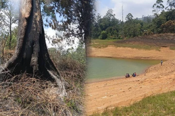 நுவரெலியாவில் கடும் வறட்சி! நீர்த்தேக்கங்களின் நீர் மட்டம் தாழிறக்கம்