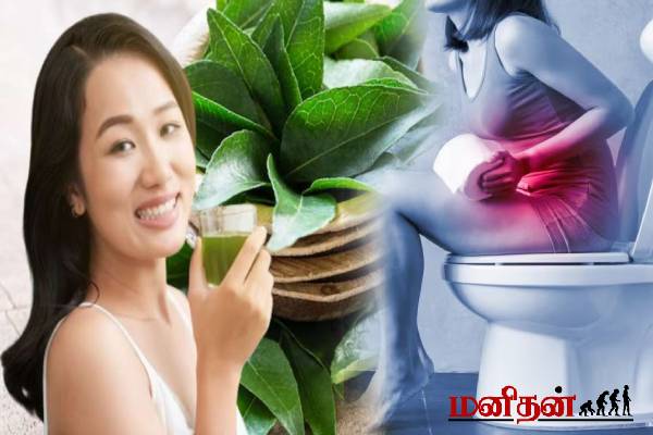 வெறும் வயிற்றில் கறிவேப்பிலை தண்ணீர் குடிங்க...உடலில் இந்த அற்புதங்கள் நிகழும்! | Health Benefits Of Drinking Curry Leaves Water