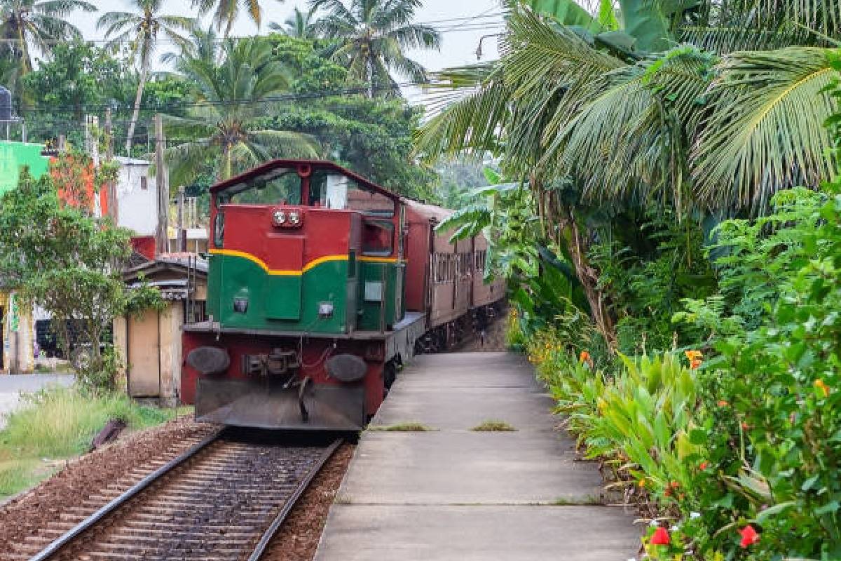 டிட்வா புயலின் பின் பேராதனையில் சீரமைப்புப் பணிகளுக்காகத் தொடருந்து சேவை ஆரம்பம் | Train Service Begins Renovation Works Peradeniya டிட்வா புயலின் பின் பேராதனையில் சீரமைப்புப் பணிகளுக்காகத் தொடருந்து சேவை ஆரம்பம் | Train Service Begins Renovation Works Peradeniya