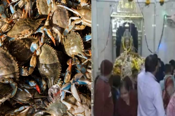 சிவனுக்கு உயிருள்ள நண்டை காணிக்கையாக வழங்கும் வினோதம் - பின்னணி!