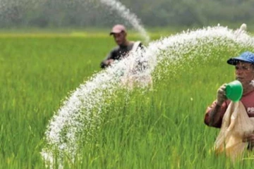 පොහොර කමිටුවෙන් විශේෂ තීරණයක්..! රසායනික පොහොර සහන මිලට