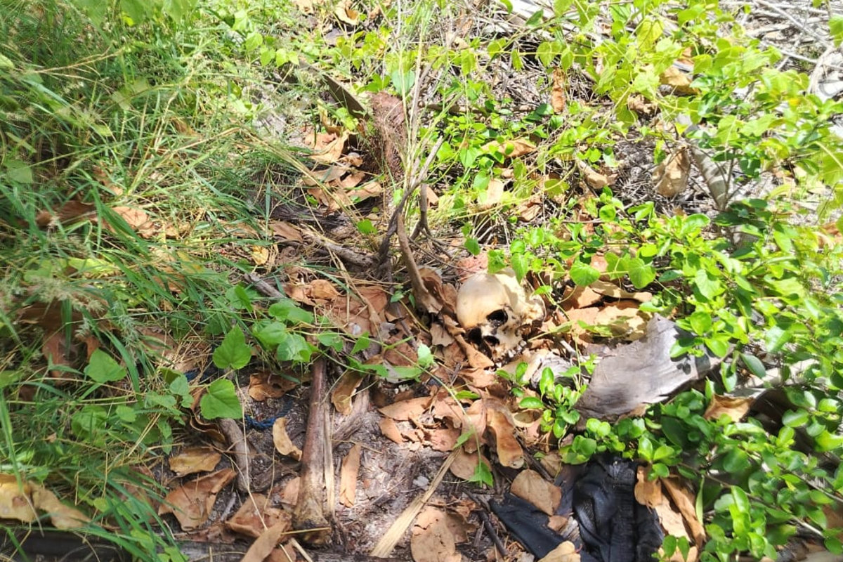 அல்லைப்பிட்டியில் மீட்கப்பட்ட மனித எலும்புக் கூடு | Human Skeleton Recovered In Allaipitiya