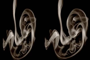 Personality test: உங்க மூளைக்கு ஒரு வேலை- இந்த படத்தில் உங்களுக்கு என்ன தெரிகிறது?