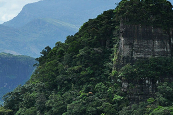 5,000 அடி உயர்த்தில் ஒரு அபிவிருத்தி! விமர்சனத்துக்குள்ளான முக்கிய திட்டம் | Severe Crisis Caused By The Provision Of Forests 5,000 அடி உயர்த்தில் ஒரு அபிவிருத்தி! விமர்சனத்துக்குள்ளான முக்கிய திட்டம் | Severe Crisis Caused By The Provision Of Forests