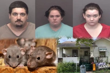 6 மாத குழந்தையை எலும்பு தெரியும் அளவிற்கு 50 இடத்தில் கடித்து குதறிய எலிகள் - கண்டுக்காமல் இருந்த பெற்றோர்!