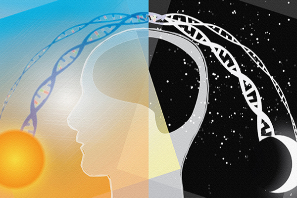 இனி தினமும் 8 மணி நேரத் தூக்கம் தேவையில்லை; ஆய்வில் புதிய தகவல் | No Longer 8 Hours Sleep Daily Information Study இனி தினமும் 8 மணி நேரத் தூக்கம் தேவையில்லை; ஆய்வில் புதிய தகவல் | No Longer 8 Hours Sleep Daily Information Study