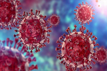 இலங்கையில் ”டெல்டா 30” கொரோனா திரிபு இல்லை: வெளியிடப்பட்டுள்ள முக்கிய அறிவித்தல்