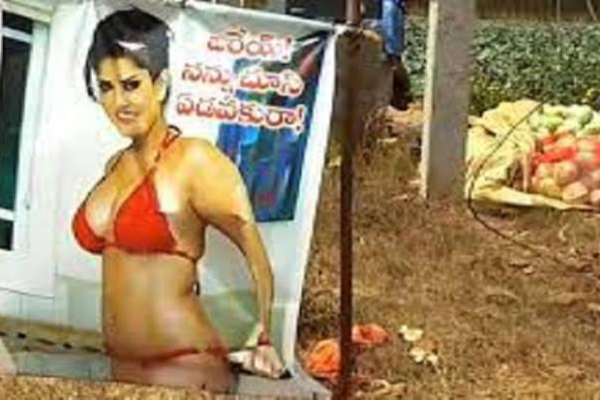 திருஷ்டி பூசணிக்காயாக மாறிய சன்னி லியோன்... என்னடா இது விநோதம்...! | Sunny Leone Posters On His Farm To Protect